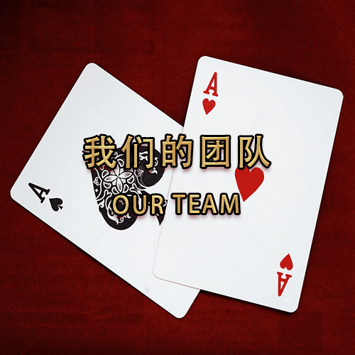 我们的团队