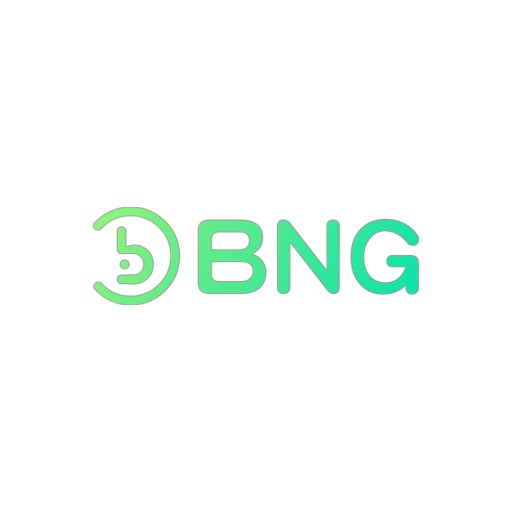 BNG电子